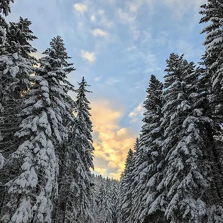 Sauna Jacuzzi 6 Personnes לה ברסה