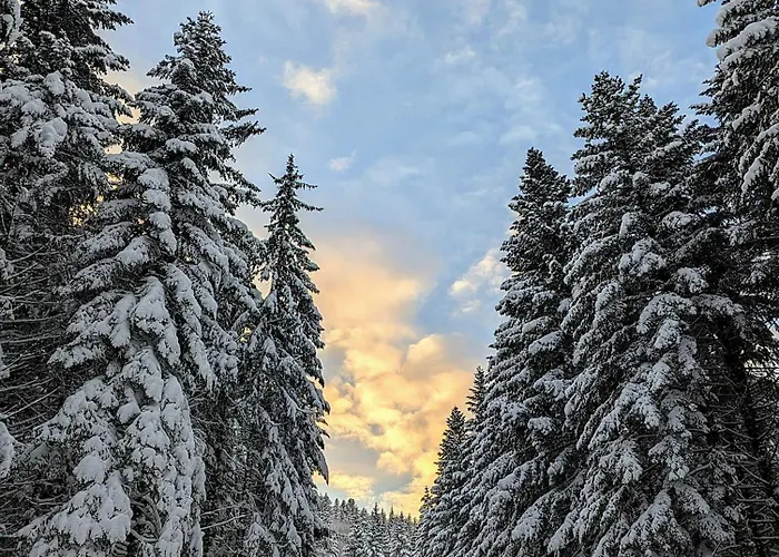 Sauna Jacuzzi 6 Personnes La Bresse