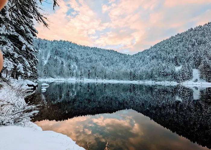 Sauna Jacuzzi 6 Personnes La Bresse